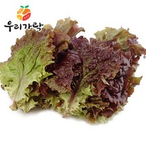 [우리가락] 적상추 500g, 상세 설명 참조