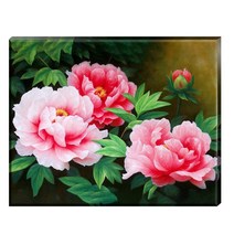 FASEN 3D 보석 십자수 DIY 캔버스형 40cm x 50cm, ZSE039.모란꽃