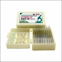 영구 프레파라트 동물편 A형(10pcs)
