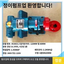 전기 기어 오일펌프 각종유류용 20종류 220V 380V 자흡식 공장 업체, 6포인트 KCB33.3 합금강 휠 메카니컬 씰 펌프