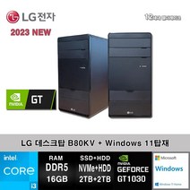 LG전자 데스크탑 12세대 I3 컴퓨터 B80KV-AR23SVRMG3+WIN11 (I3-12100/16GB/SSD2TB+2TB/GT1030/WIN11)
