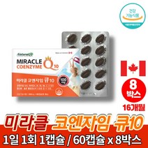 프리미엄 코스트코 약국 리얼 코큐텐 100 코자임 큐텐 coq10 유비퀴논 맥스 혈압 영양제 캐나다 직수입 활력 비타민B군, 8박스