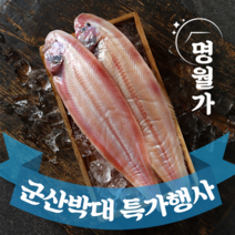 [특가행사] 반건조 군산 박대 서대 말린 생선 구이용 조림용 진공포장, [초특대] 35~37cm 5마리, 5개