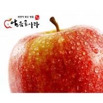 [유명안농원] 밀양얼음골 사과 5-10kg 부사 (11-46과) 산지직송 직접재배, 40과, 10kg