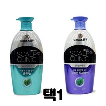 케어 쿨샴푸 가려운 전문 샴푸 내추럴 유명한샴푸 학생 착한샴푸 순한, 오가니스트 스칼프 가려운두피케어샴푸750ml