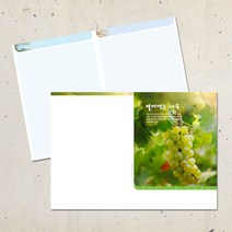 계절 디자인 주보용지 교회 순서지 예배 주보지 안내지 청년부 주일학교 교회행사 성경학교 맥추 추수감사 성탄절 사순절, EA-47