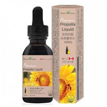 프리미엄 액상형 프로폴리스 30ml 구내염에좋은음식, 상세페이지 참조, 상세페이지 참조