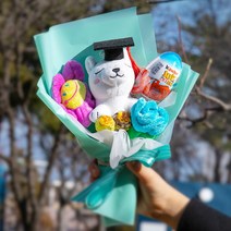 미니 학사모 강아지 인형 졸업 꽃다발 조화 포장 사각모 졸업식 졸업꽃 어린이 유치원 어린이집, 25HN_졸업 입학 미니 학사모 강아지 인형 꽃다발