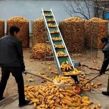 상승 컨베이어밸트 콘베어 상하차 리프트 컨베어 농장, 상세이페이지 참고, 4미터 300mm