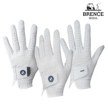 BMW 올양피 남성 왼손 골프장갑 2장, 캠프빌리지 심볼로고 26호 2장