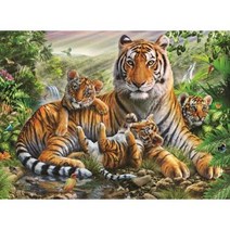 500조각 직소퍼즐 - 행복한 호랑이가족 (유액포함)(더페이퍼) 퍼즐직소 직소퍼즐 취미퍼즐 퍼즐 일러스트퍼, 상세페이지 참조, 상세페이지 참조