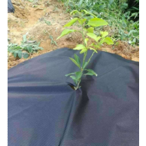 비닐하우스 밭덮는 농업용 부직포 과일나무 약초 차밭, 전체롤 너비 60cm x 길이 200m