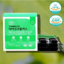 진코 코스트코 약국 징코 찡코 징꼬 징코플러스 은행잎 은행나무 추출물 기억력 혈행개선 도움 70대 60대 노인 할머니 할아버지 영양제 비타민, 은행잎추출물 60캡슐 x1박스