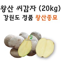 [강원도 정품 왕산종묘] 왕산(두백) 씨감자 20kg 찐감자 쪄먹는 감자 분감자 두백 왕산 감자씨 햇감자, 왕산(왕산종묘 분감자 쪄먹는감자) 20kg