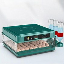 병아리부화기 닭 오리 메추리 계란 달걀 알 유정란 부화기 부화 단일 이중 전원 24개-64개, 30개 단일 전원 전자동