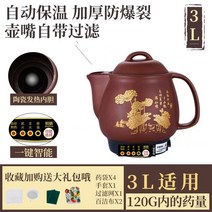 약탕기 액기스 한약 보약 온열차 전기 사과즙 중탕기, 단일사이즈, G