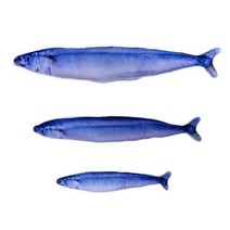 캣닢물고기 꽁치 중 30cm 캣잎 쿠션 인형 고양이 장난감