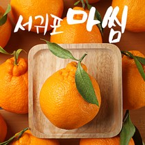 서귀포 첫수확 당도선별 고당도 한라봉 5kg 10kg, 한라봉 5kg 특대과(10-12과)가정용