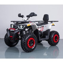 제트로모터스/ ATV200CC/ 사륜바이크/ ATV/ UTV/ 농업용 ATV/ 제설용ATV, 화이트, 제트로모터스 ATV200CC 사륜바이크 ATV