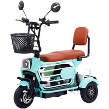 전기자전거 소형 전기 여성용 자전거 배달용, 상세 페이지 참고, L