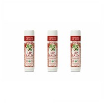 Badger Organic Cinnamon Swirl Lip Balm 뱃져 오가닉 시나몬 스윌 립 밤 0.60oz(17g) 3팩, 1개, 1