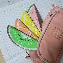 15cm 자 초등학생 입학선물 문구 학용품 준비물 예비, 키위