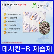 가방제습제 벤토나이트 10g 10개 - 데시칸-B 친환경