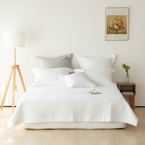 소프라움 [소프라움] 프리미에 면모달 스프레드 S