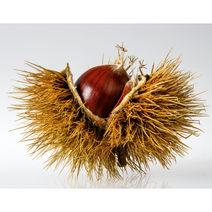 약단밤, 명품약단밤 2망 1.4kg