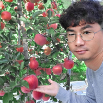 경북사과 껍질째 먹는부사 가정용 흠집 못난이꿀사과 사과유명한곳 늘봄농원, 사과 실속)소과 22~24과