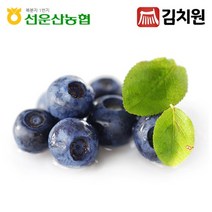 김치원 친환경 블루베리 생과 4kg 1kgx4 전북고창