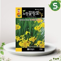 솔림텃밭몰 노랑꽃창포씨앗 30립 꽃창포 꽃씨앗 꽃씨 야생화, 1개