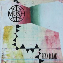 LP판 미국 Mush PEAK BLEAK 제품 녹색 레코드판 7 싱글
