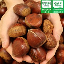 2023년 공주 정안면 햇 칼집밤 2kg 4kg 대사이즈 공주햇밤 손질밤 햇밤 정안밤 산지발송, 정안 칼집밤 대 4kg, 1개