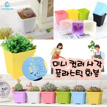 미니 사각 화분 3개 소 대 사이즈 반려식물 작은 다육이 플라스틱 화분 책상 좁은공간 베란다 어린이집 유치원 화분만들기, 옐로우 3개