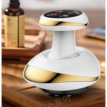 고주파치료기 바디 가정용 온열 셀룰라이트 홈케어 초음파 치료기, F