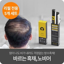 [노비어 리필] 바르는 흑채 남성 여성 정수리 탈모커버 워터프루프, 5개, 리필