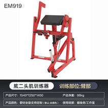펙덱플라이 머신 기구 상체 클럽용 운동 헬스 홈짐 웨이트 가슴, EM919 좌식 이두근 트레이너
