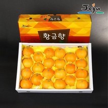 (햇살맞춤) 산지직송 제주 황금향 5kg 40과 내외 가정용 제주연가