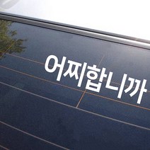마이웨이카 어찌합니까 스티커 초보운전