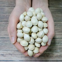 2022년은행마을재래종은행 속이파란은행 피은행, 5kg