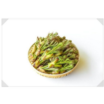 강원도 산지직송 눈꽃 땅두릅 500g, 1개