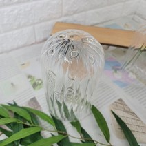 이케바나유리(2SIZE), 대