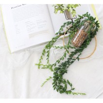 유리 실린더 행잉 플랜터 계절 공간연출 꾸미기 소재, 박쥐란