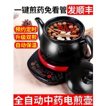홍삼제조기 가정용홍삼달임약탕기 가정용 홍삼 한약 홍삼달임기계, G