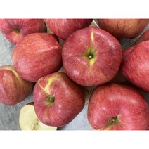 사과 홍로 가정용 2kg 3kg 5kg 청송 상주, 1개, 홍로 사과 중대과 (12-16과) 5kg