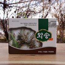 와송즙 와송 엑기스 진액 생와송 와송액기스 바위솔