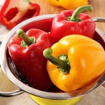 더싱싱 국내산 파프리카 혼합 못난이 1kg, GM 파프리카 못난이 1kg