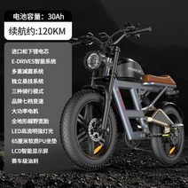 전기자전거 Phoenix SD1 20인치 오프로드 레트로 빈티지 산악자전거 전동자토바이, C 30ah, 48V