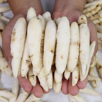 더덕초리파지 구매률이 높은 추천 BEST 리스트를 놓치지 마세요